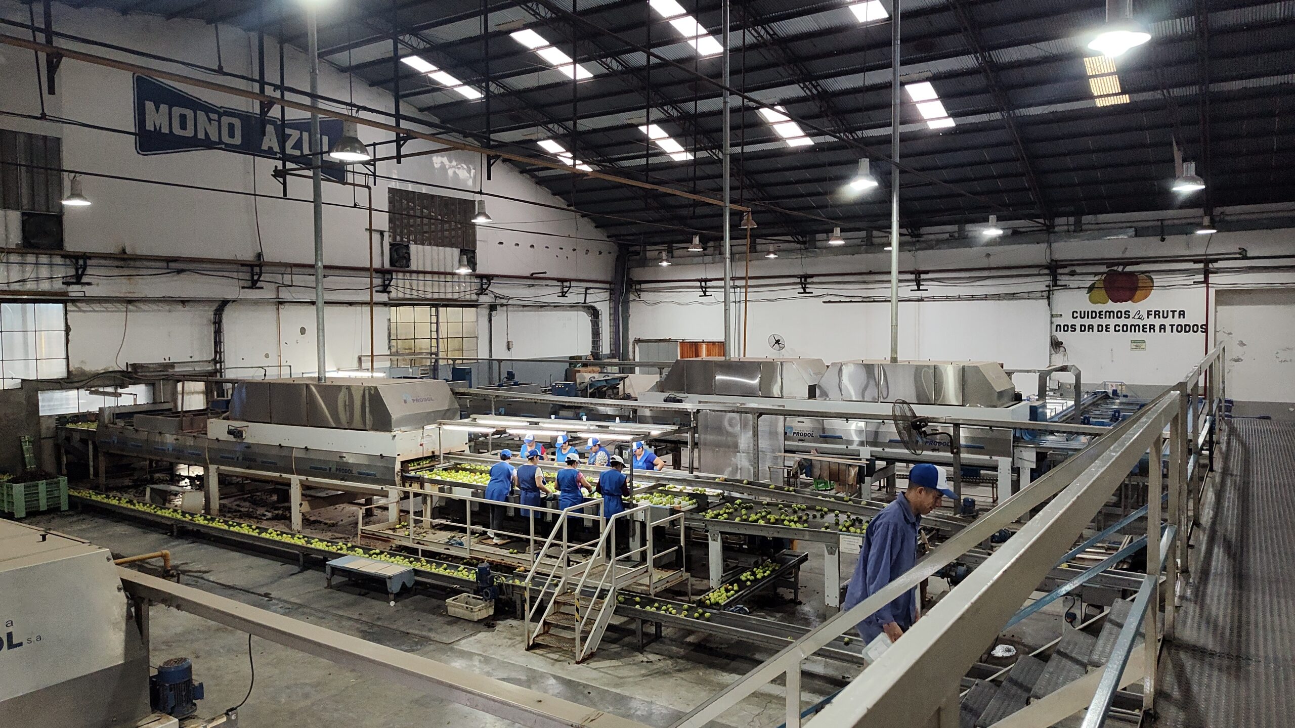 Investigan la muerte de un joven obrero en la planta de un frigorífico