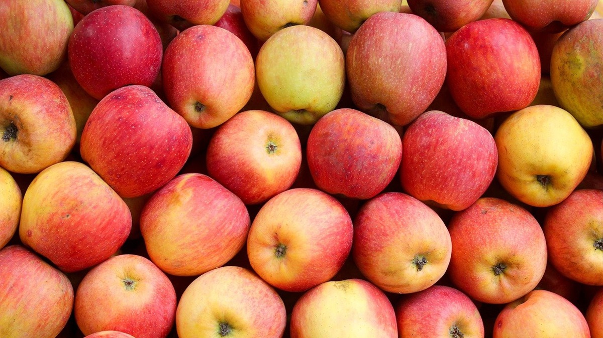 El precio de la manzana creció 48% durante 2024 en el mercado interno