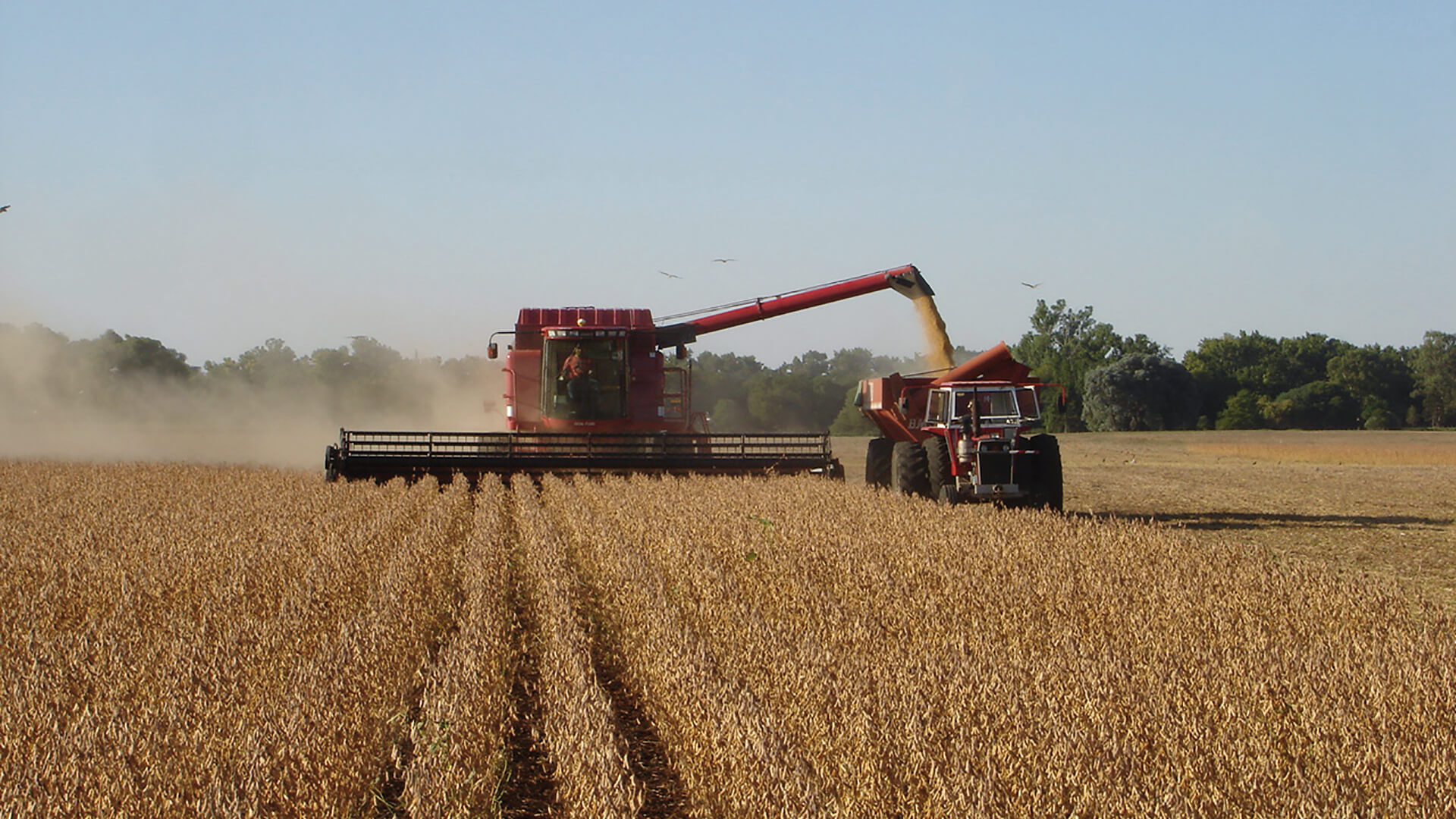 Bioceres entra en default y lanza proceso de reestructuración de deuda tras no pagar pagarés