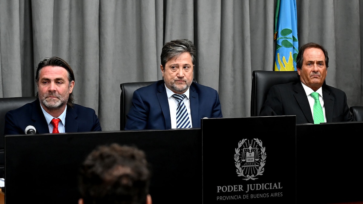 image preview(placeholder)