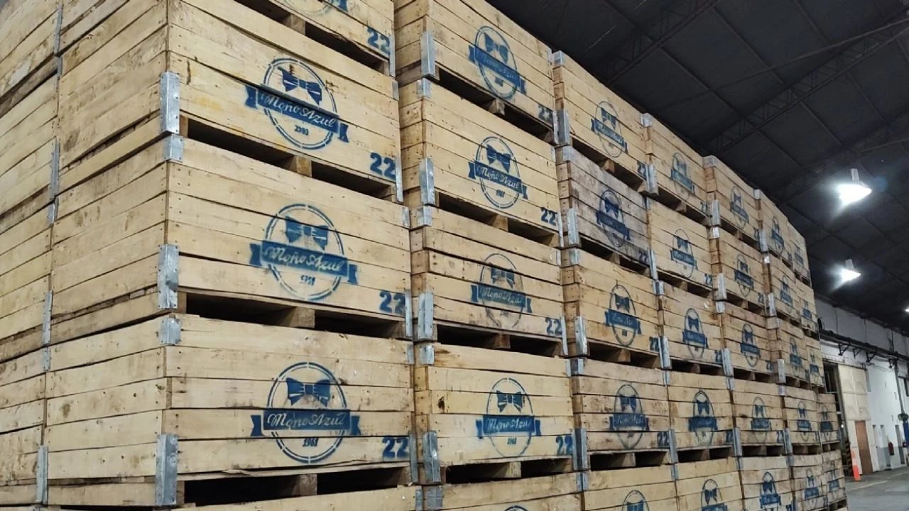 Cuál es la hipótesis más fuerte por la muerte del obrero del frigorífico Moño Azul