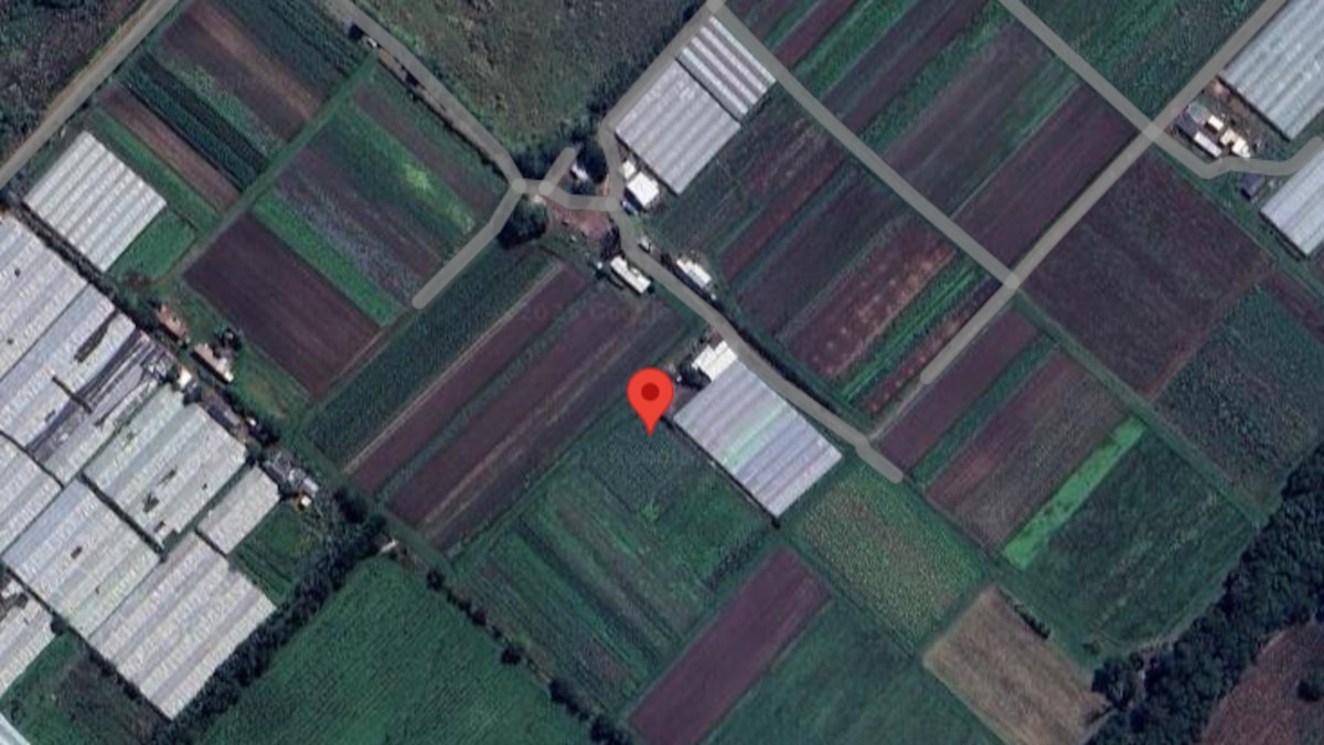 Hallan muerto a un niño de 2 años con mordeduras en La Plata