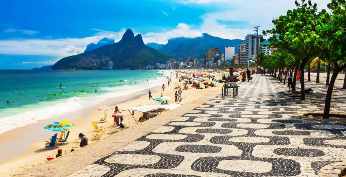 image preview(placeholder)