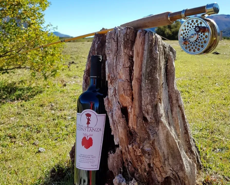 image preview(placeholder)