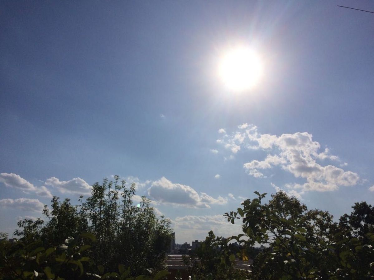 Ola de calor y Neuquén de nuevo con alerta: también hay tormentas en Río Negro, qué temperaturas se esperan