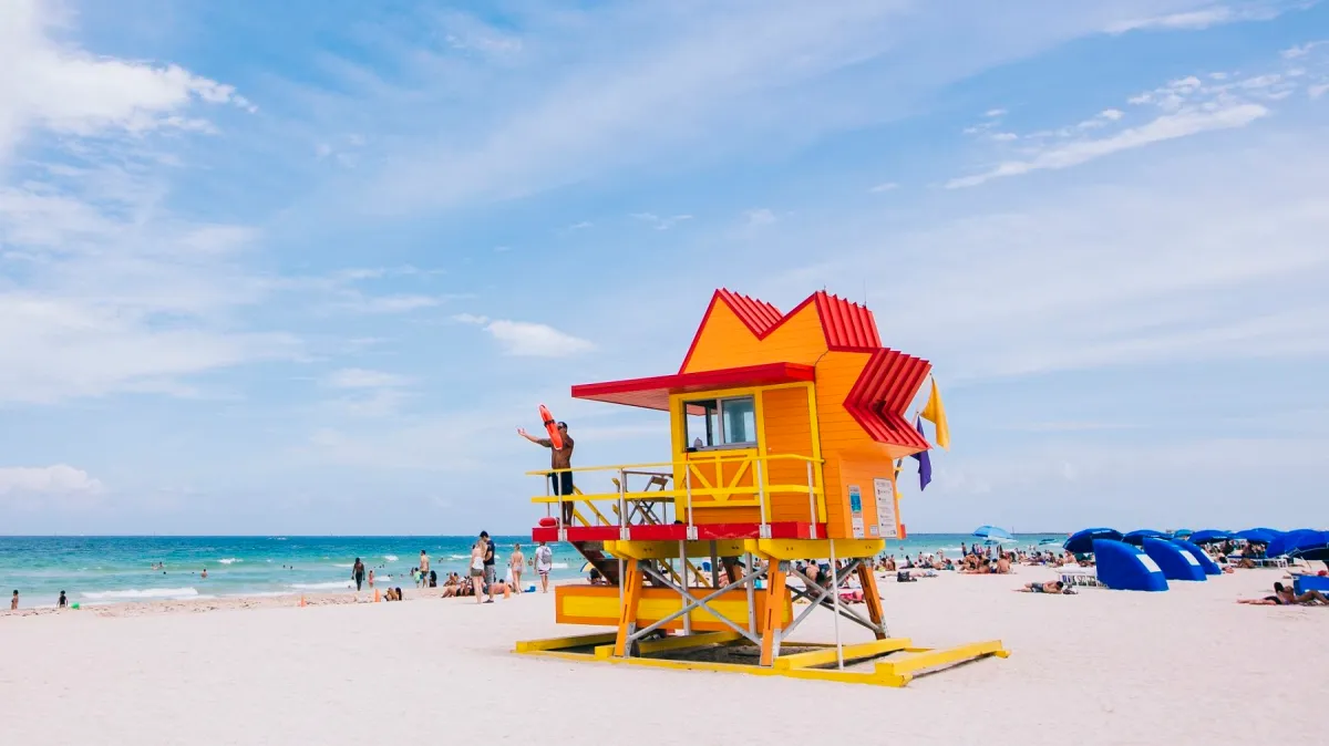 image preview(placeholder)