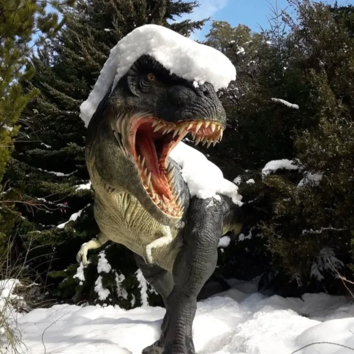 image preview(placeholder)