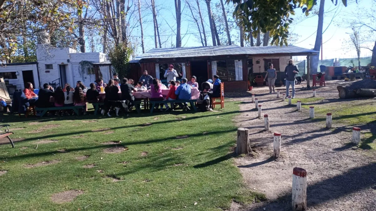 image preview(placeholder)