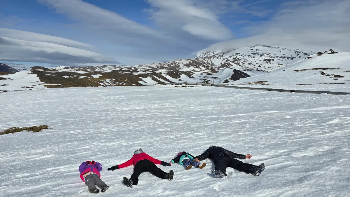 image preview(placeholder)