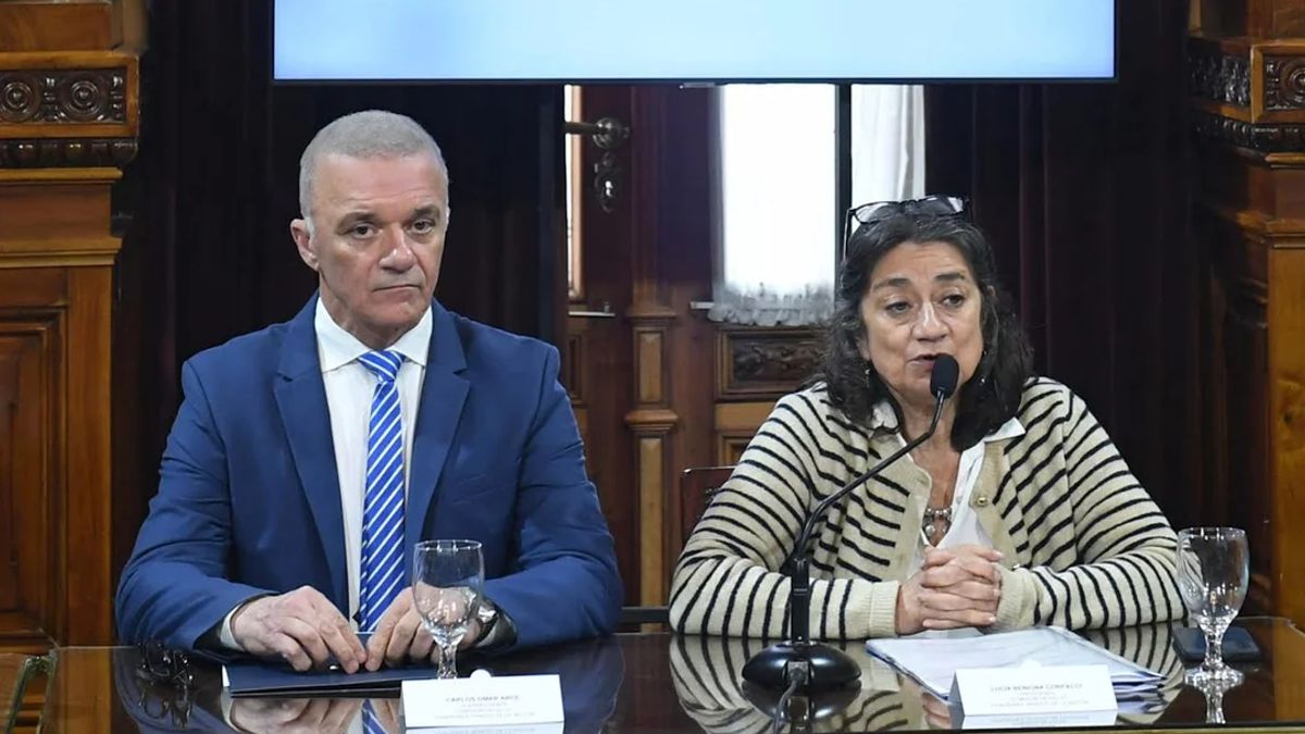 Senado: la oposición impulsa dictamen sobre emergencia pediátrica y fondos universitarios