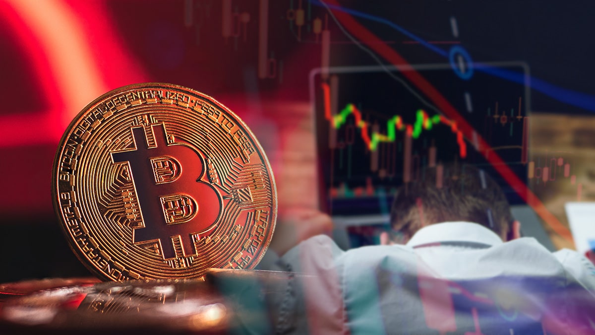 image preview(placeholder)