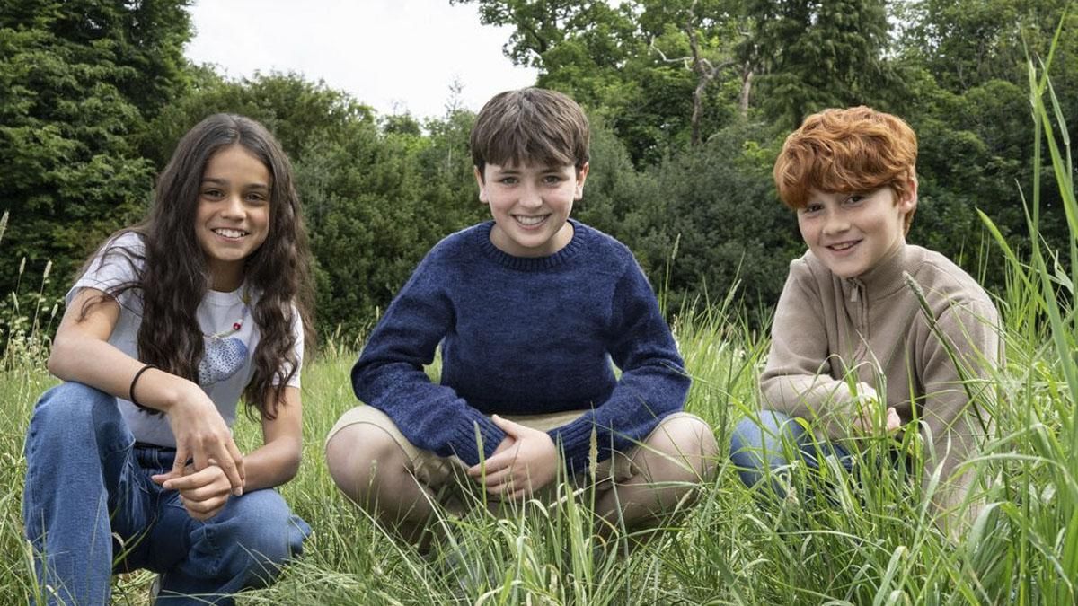 image preview(placeholder)