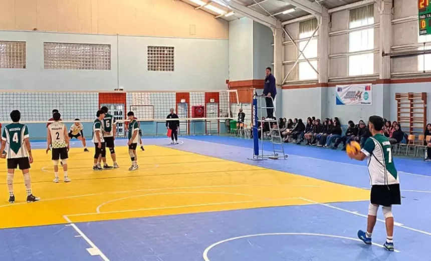 image preview(placeholder)