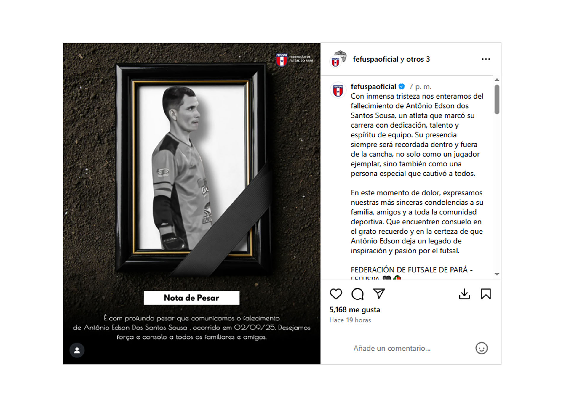 image preview(placeholder)