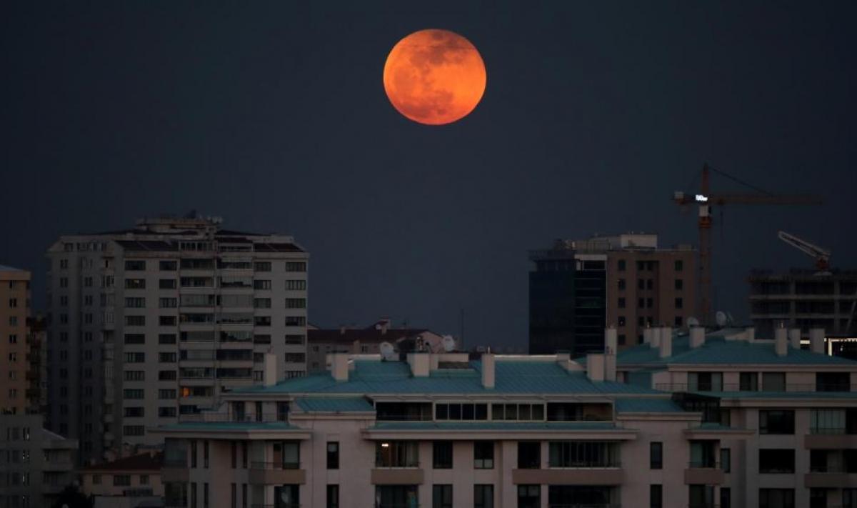 image preview(placeholder)