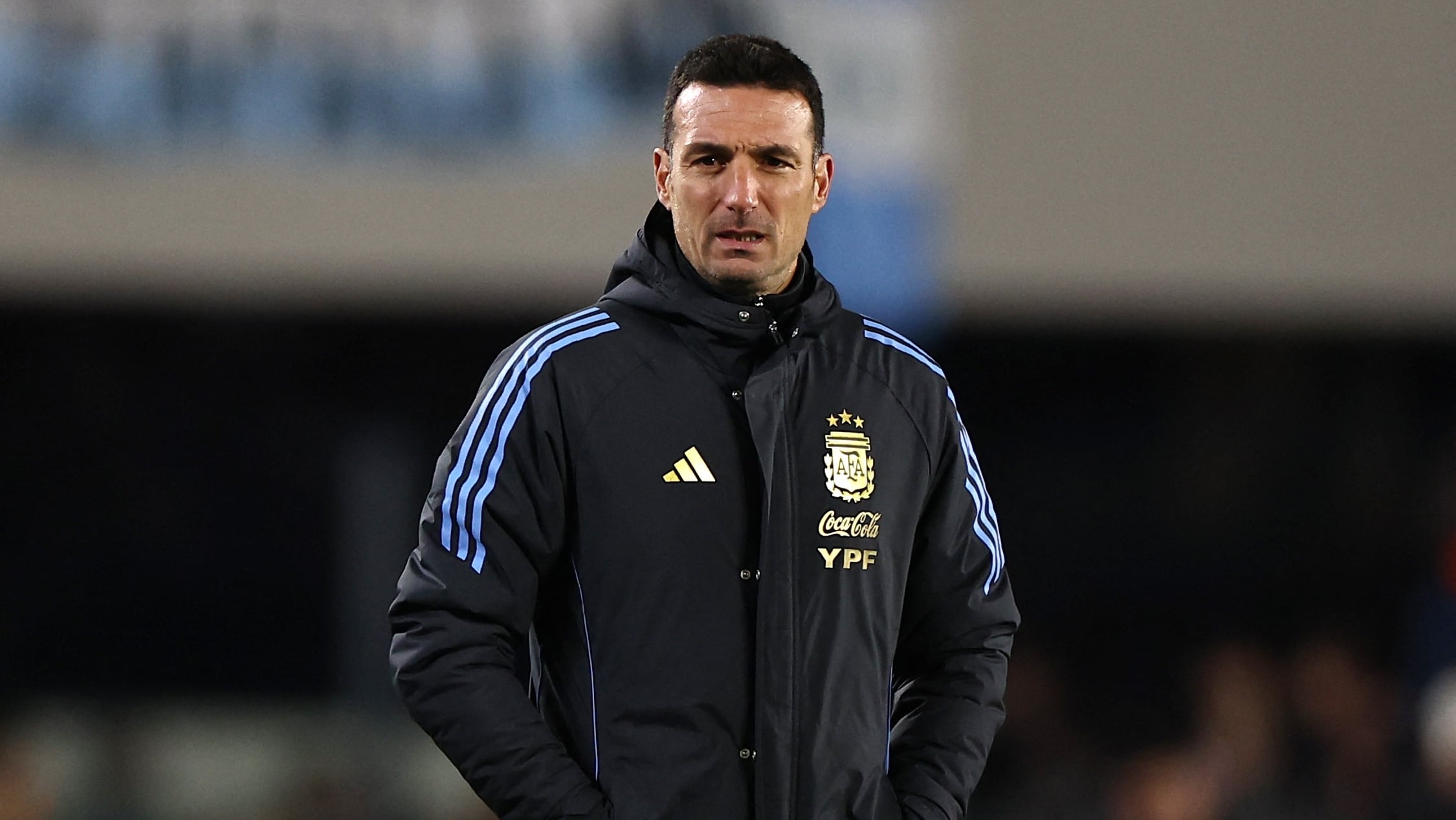 image preview(placeholder)