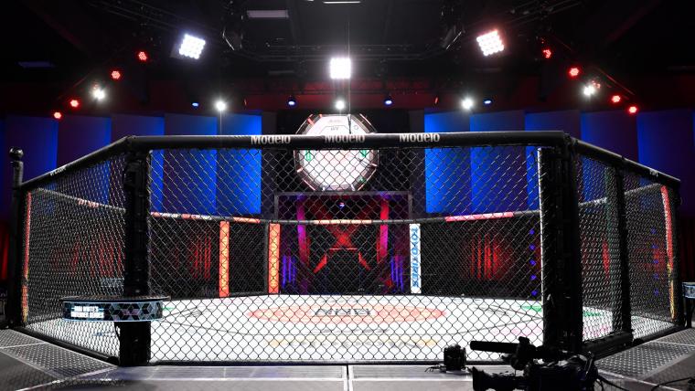 image preview(placeholder)