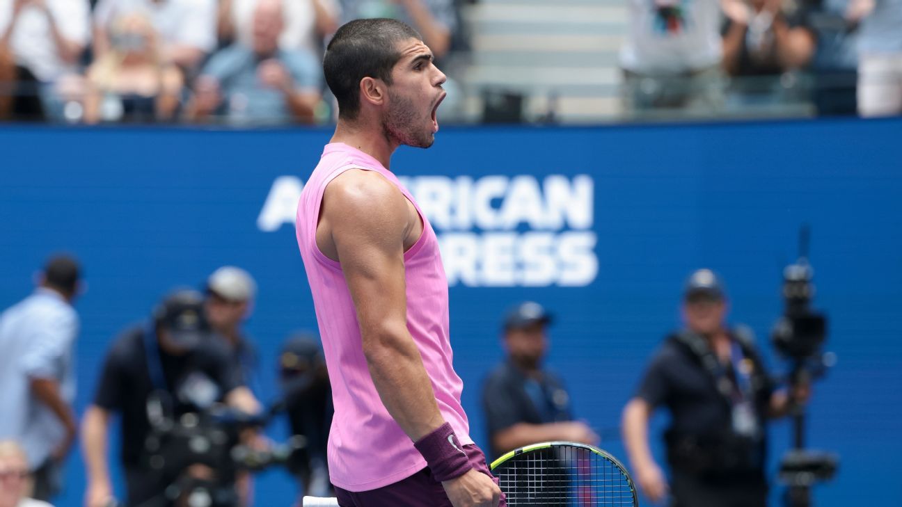 image preview(placeholder)