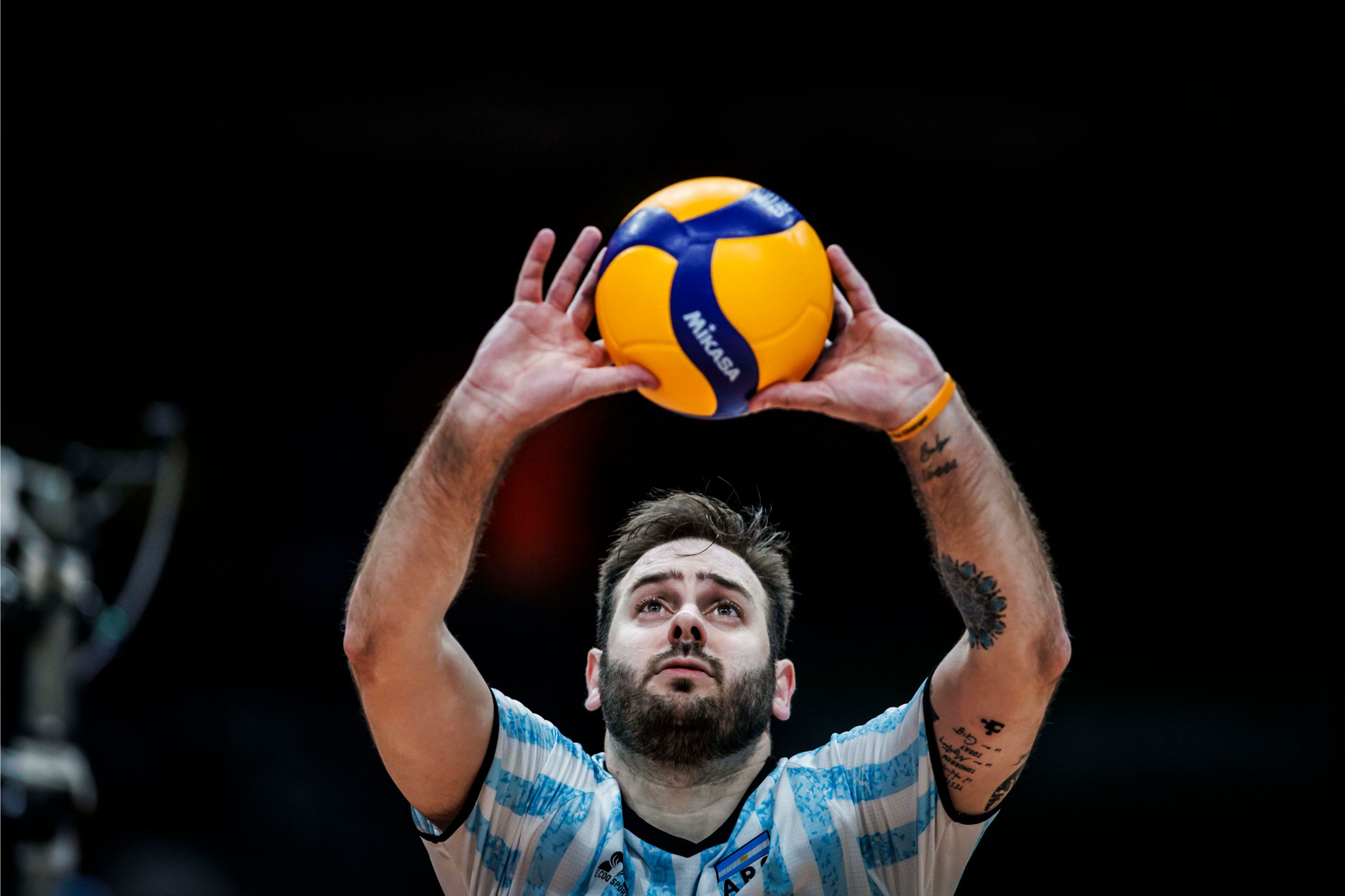 image preview(placeholder)