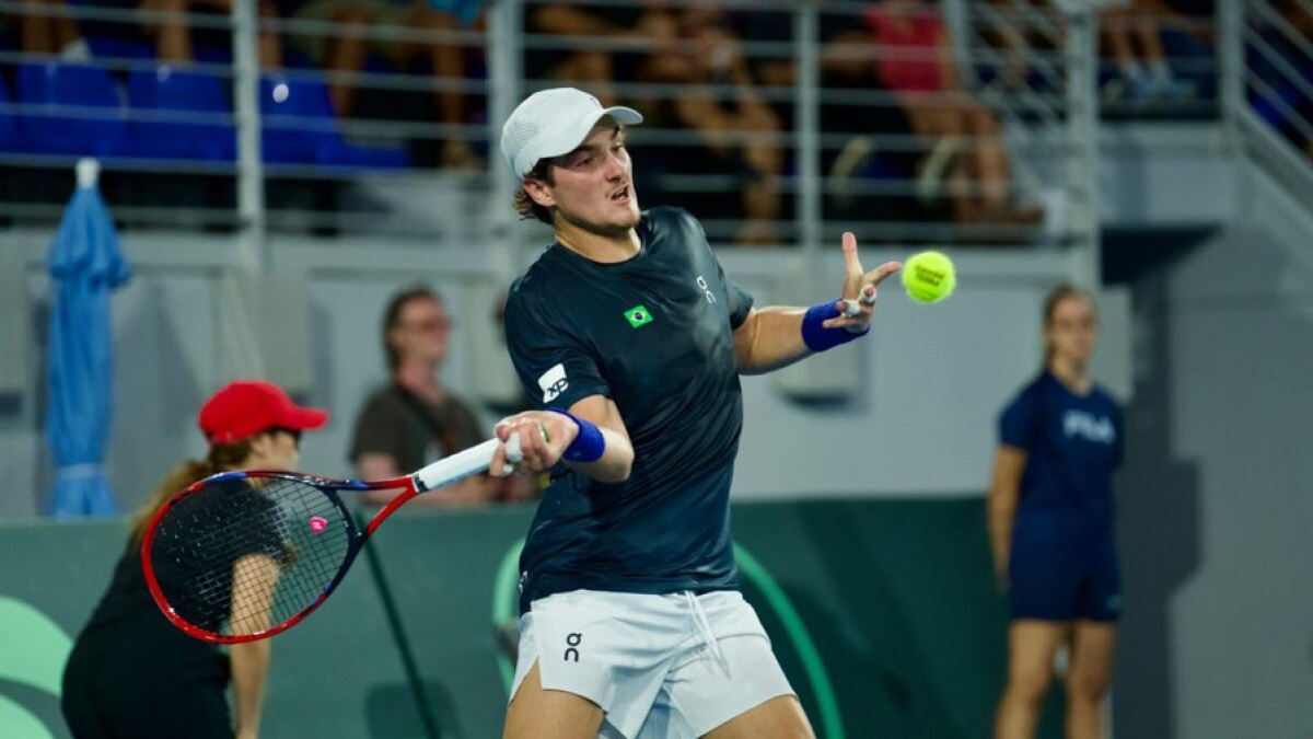 image preview(placeholder)