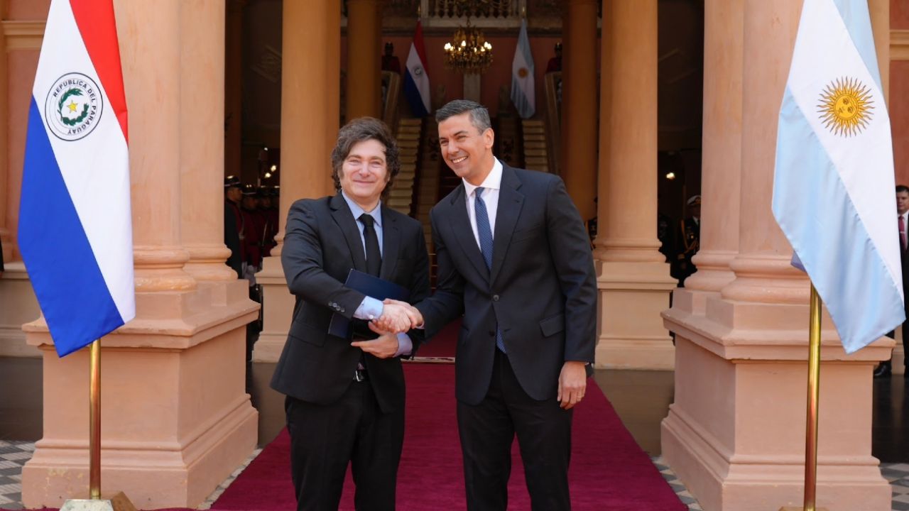 image preview(placeholder)