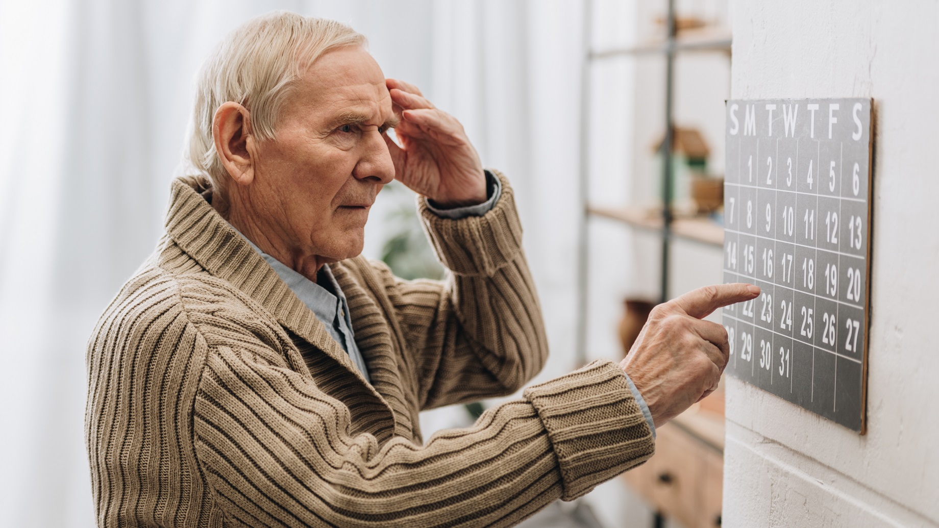 image preview(placeholder)