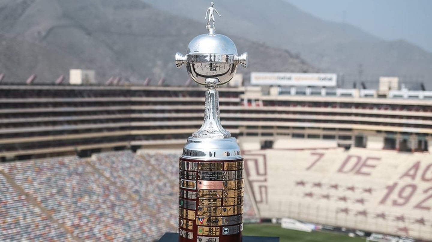 image preview(placeholder)