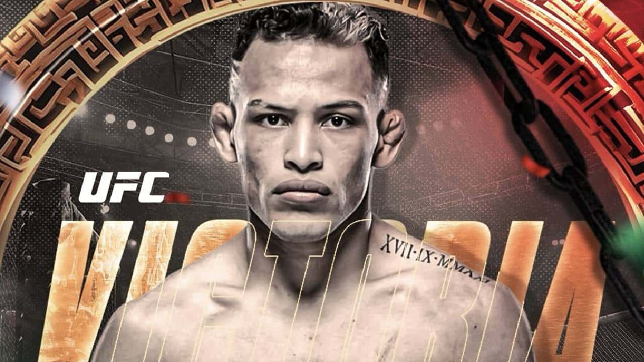 image preview(placeholder)