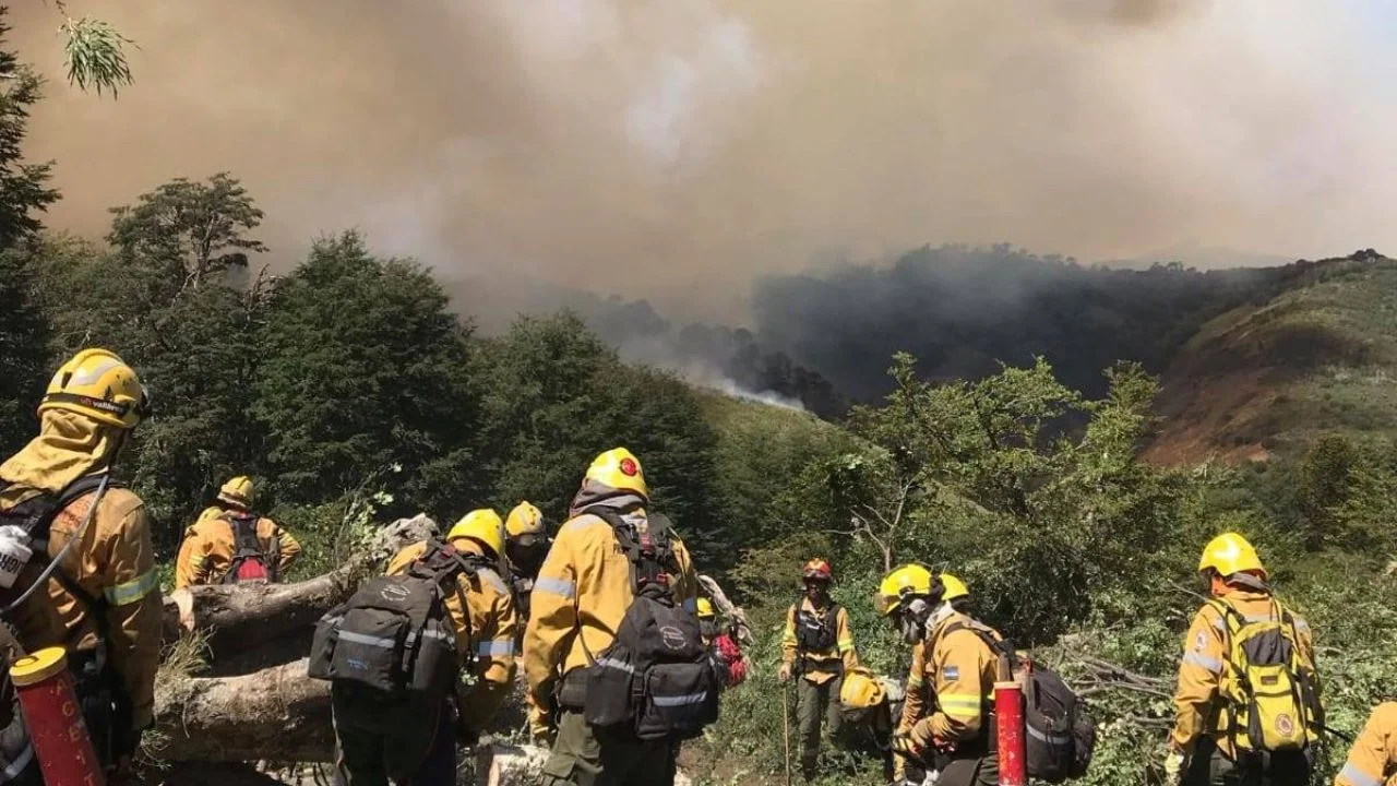 Fuego en el Parque Nacional Lanín: más de 2.600 hectáreas arrasadas y sospechas de intencionalidad