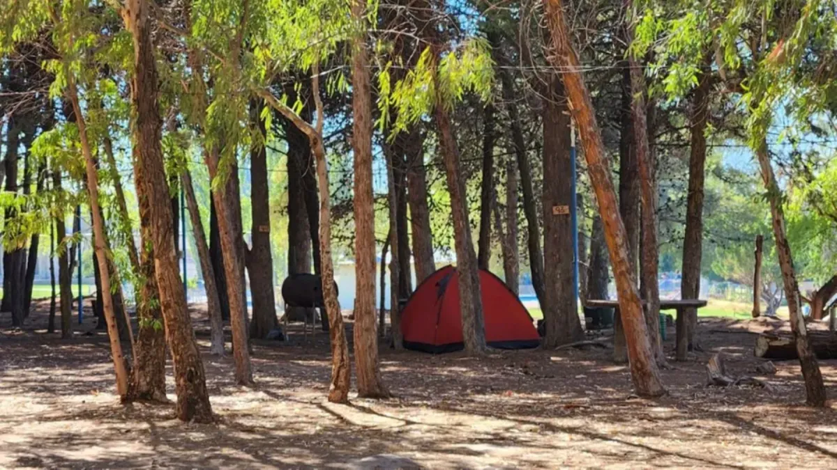 Villa El Chocón: cuánto cuesta pasar una noche en carpa en el camping