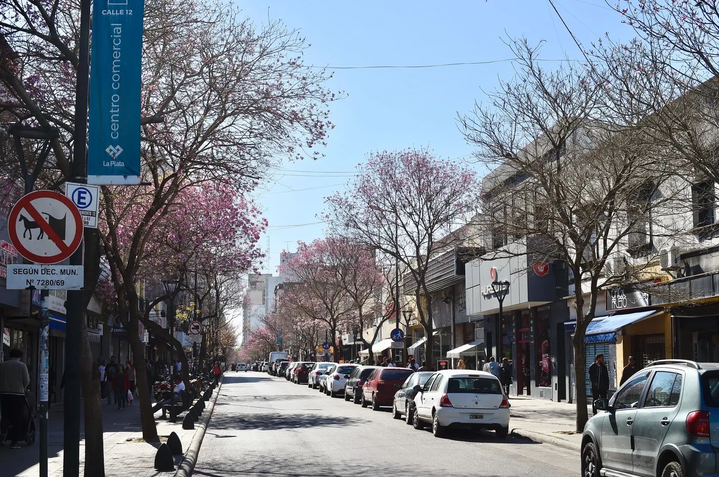 Hallazgo impactante en La Plata: encuentran a un pintor sin vida en el techo de un ascensor en construcción