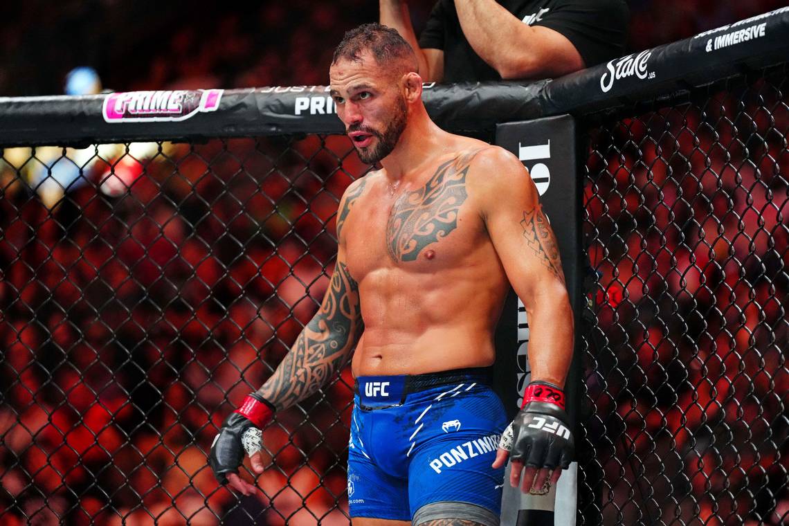 image preview(placeholder)