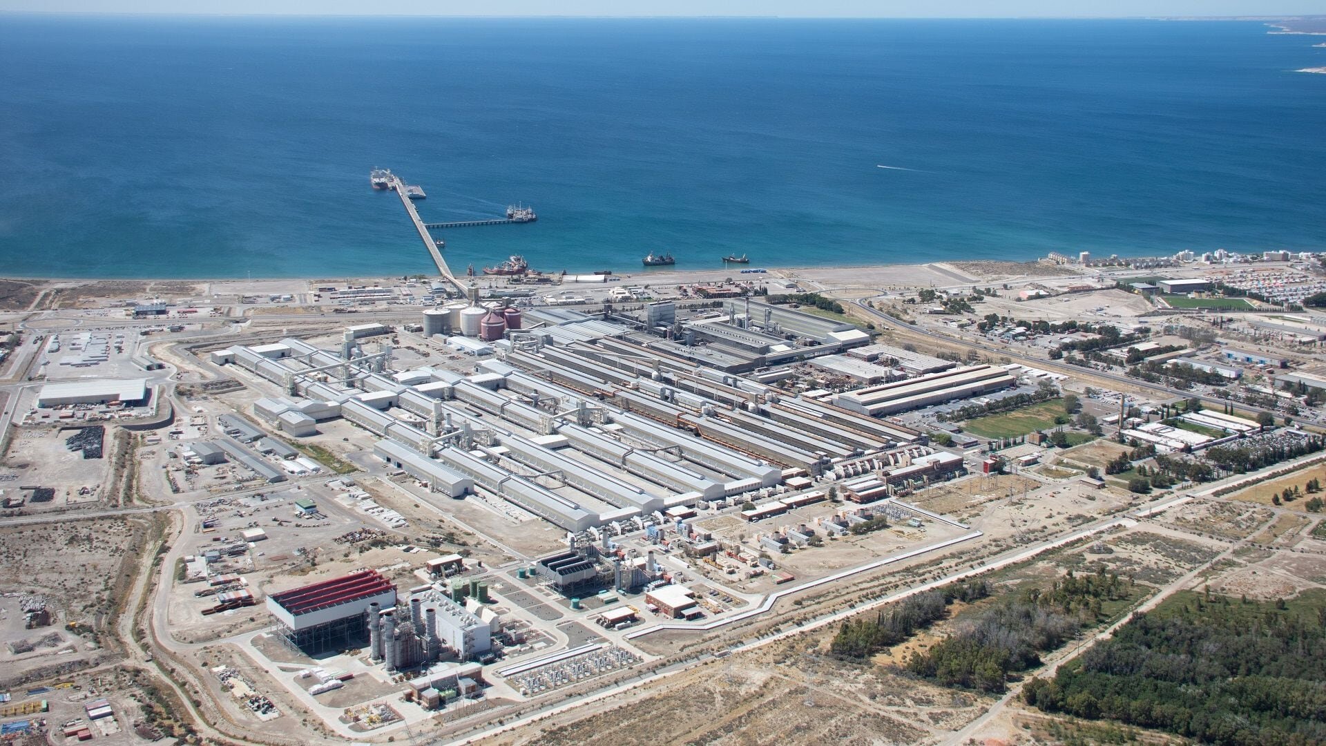 El impacto de las políticas de Trump en sectores clave de Argentina