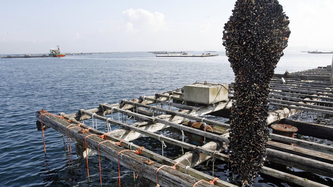Un hito para la Patagonia: Argentina exporta este producto por primera vez