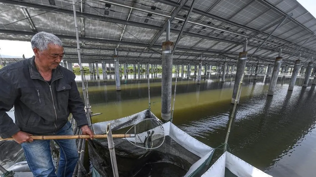 Innovación en China: la mayor granja de peces con energía solar del mundo