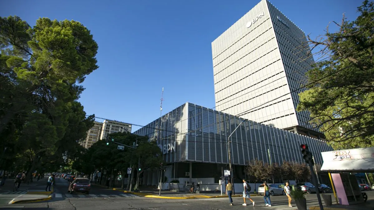 image preview(placeholder)