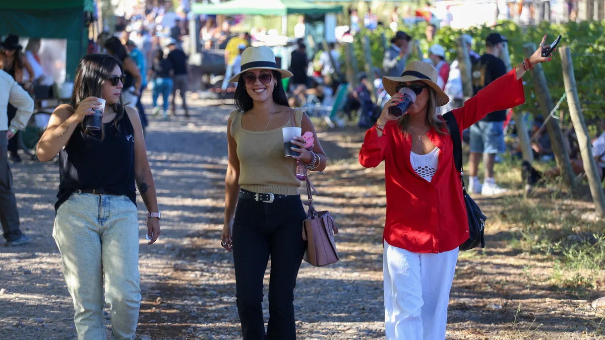 image preview(placeholder)