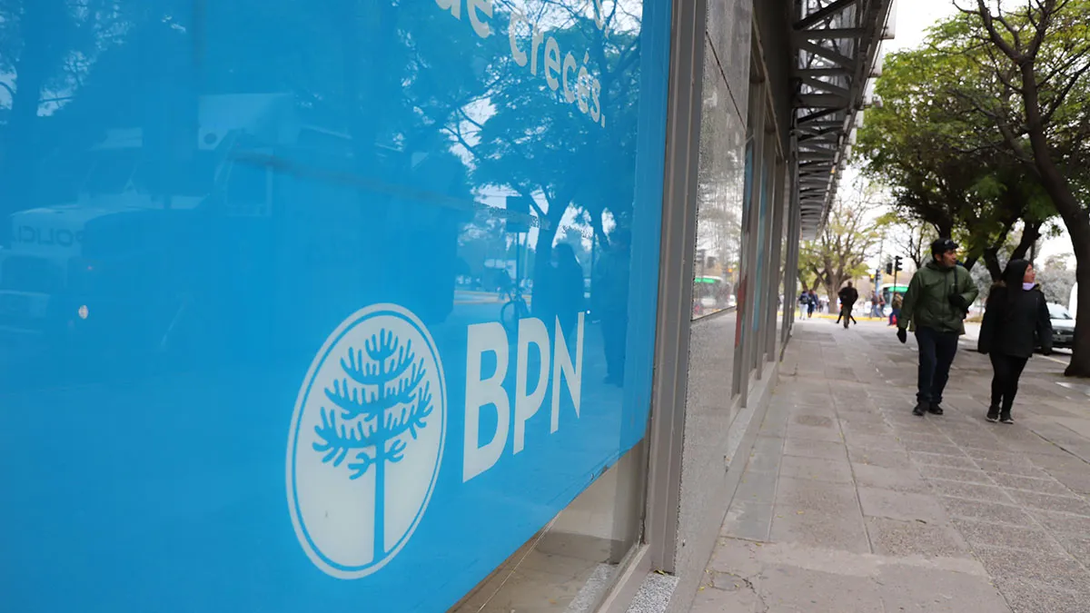 image preview(placeholder)