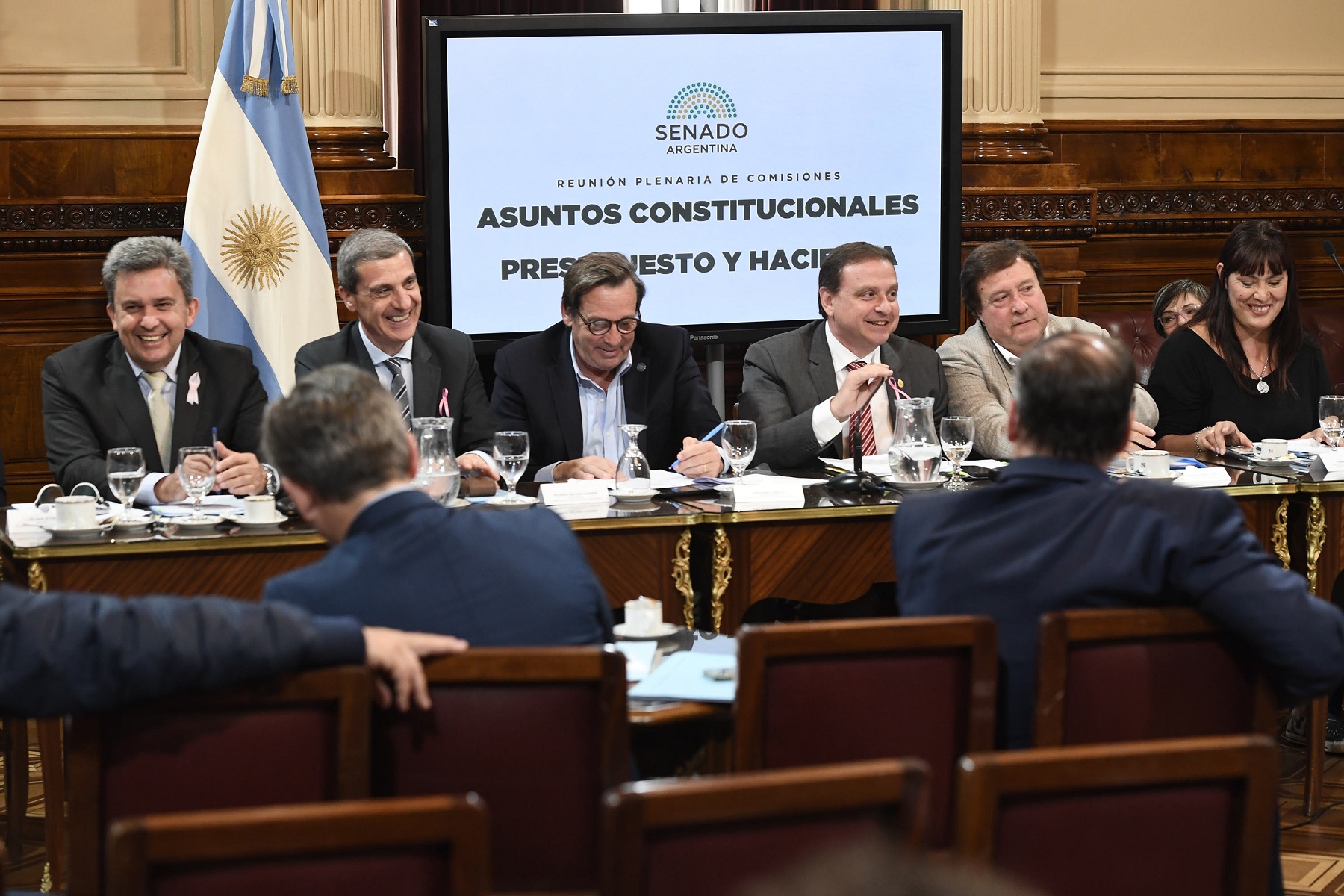 El Senado avanzó con la Ficha Limpia: el oficialismo y dialoguistas dieron dictamen y quedó listo para su sanción.