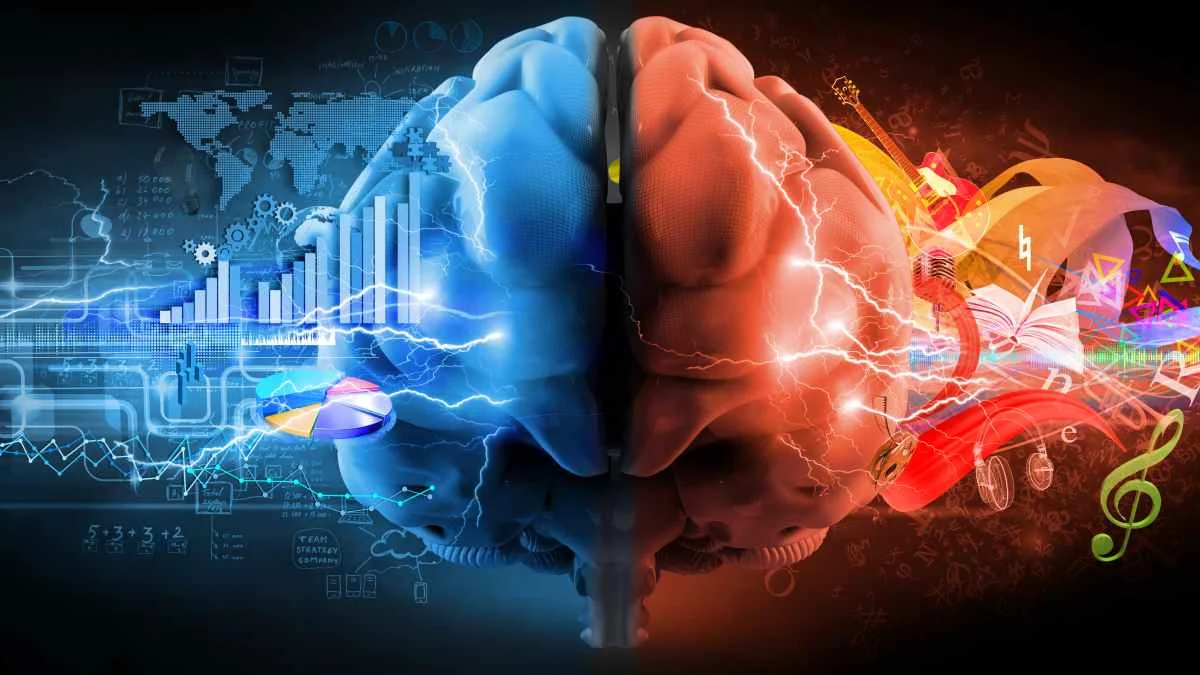 ¿Cómo funciona la creatividad en el cerebro? Un circuito clave y daños que potencian ideas