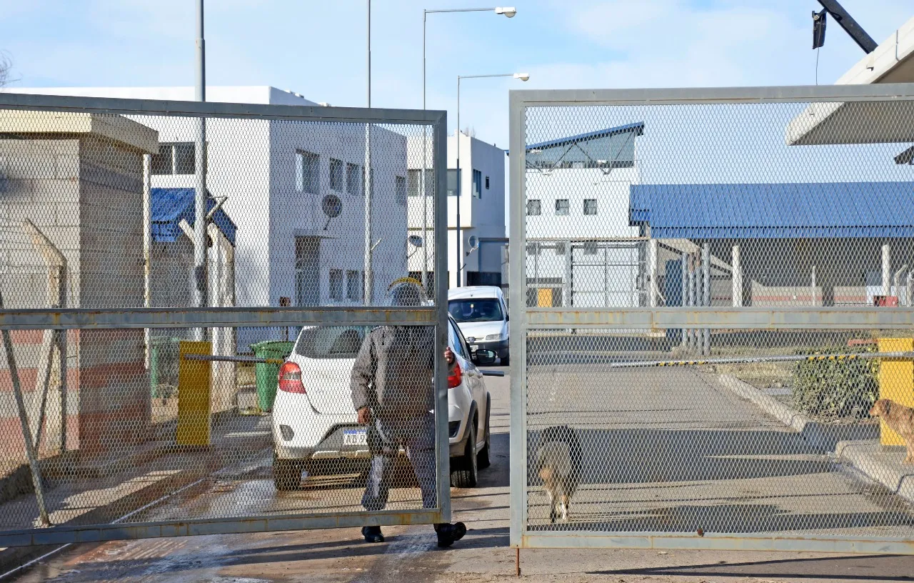 image preview(placeholder)