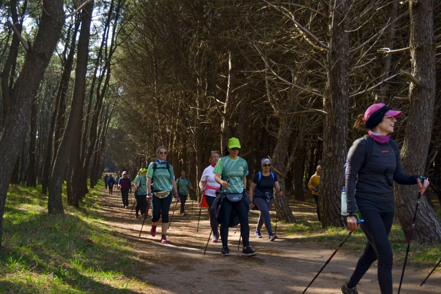 image preview(placeholder)