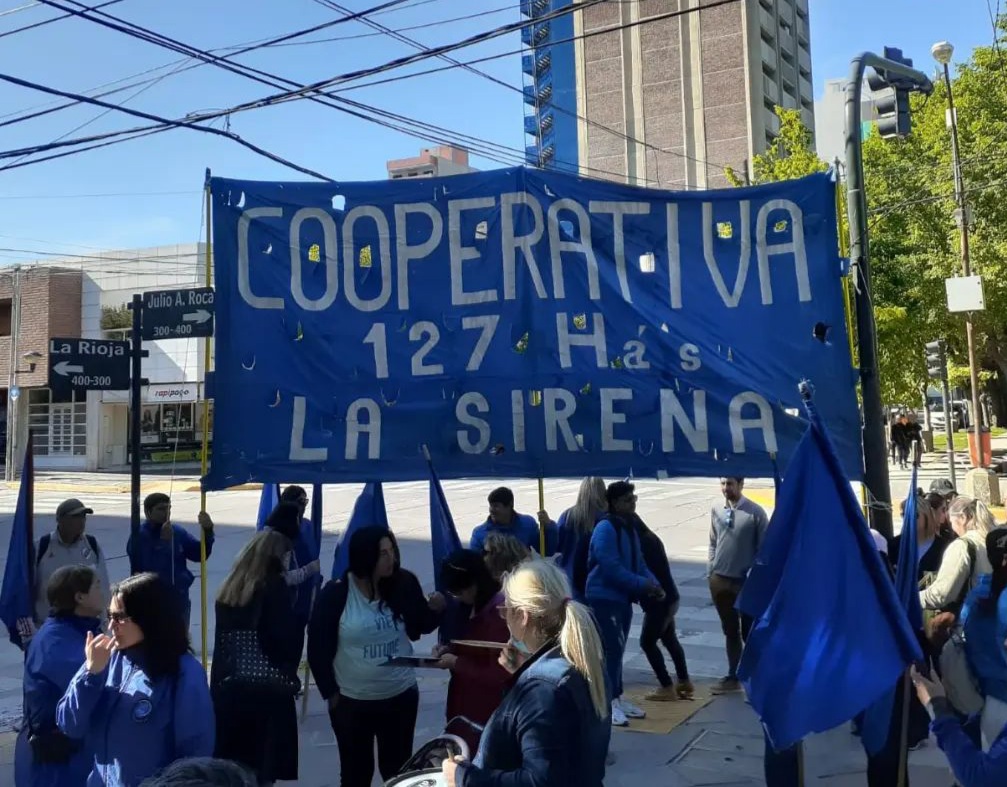 image preview(placeholder)