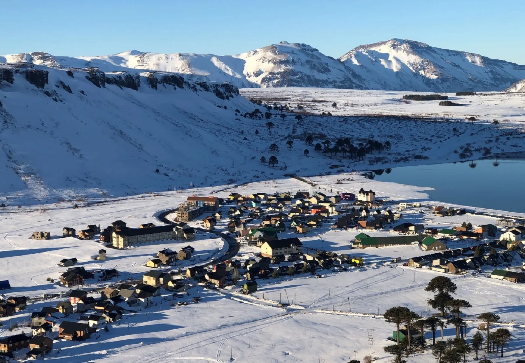 image preview(placeholder)