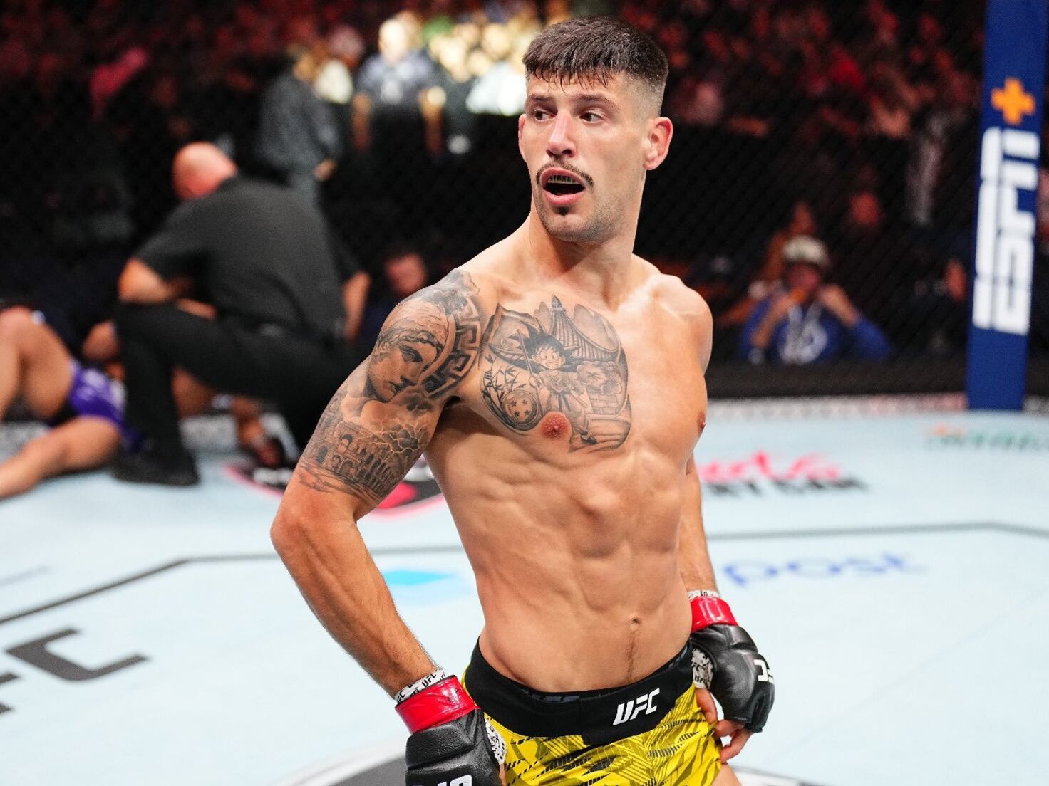 image preview(placeholder)