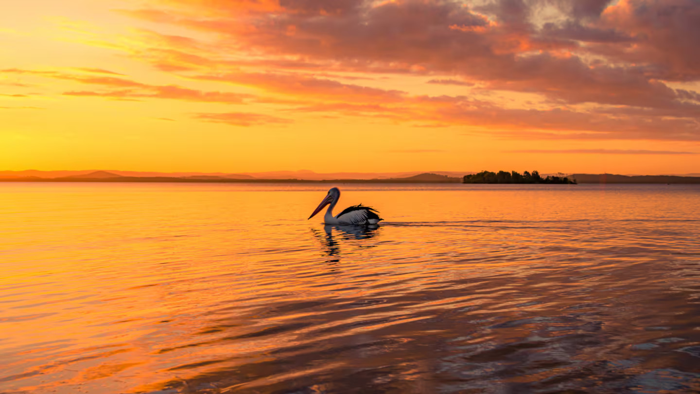 El pueblo que está a 1 hora de Buenos Aires, con una laguna de 180 hectáreas y parrillas para pasar el día