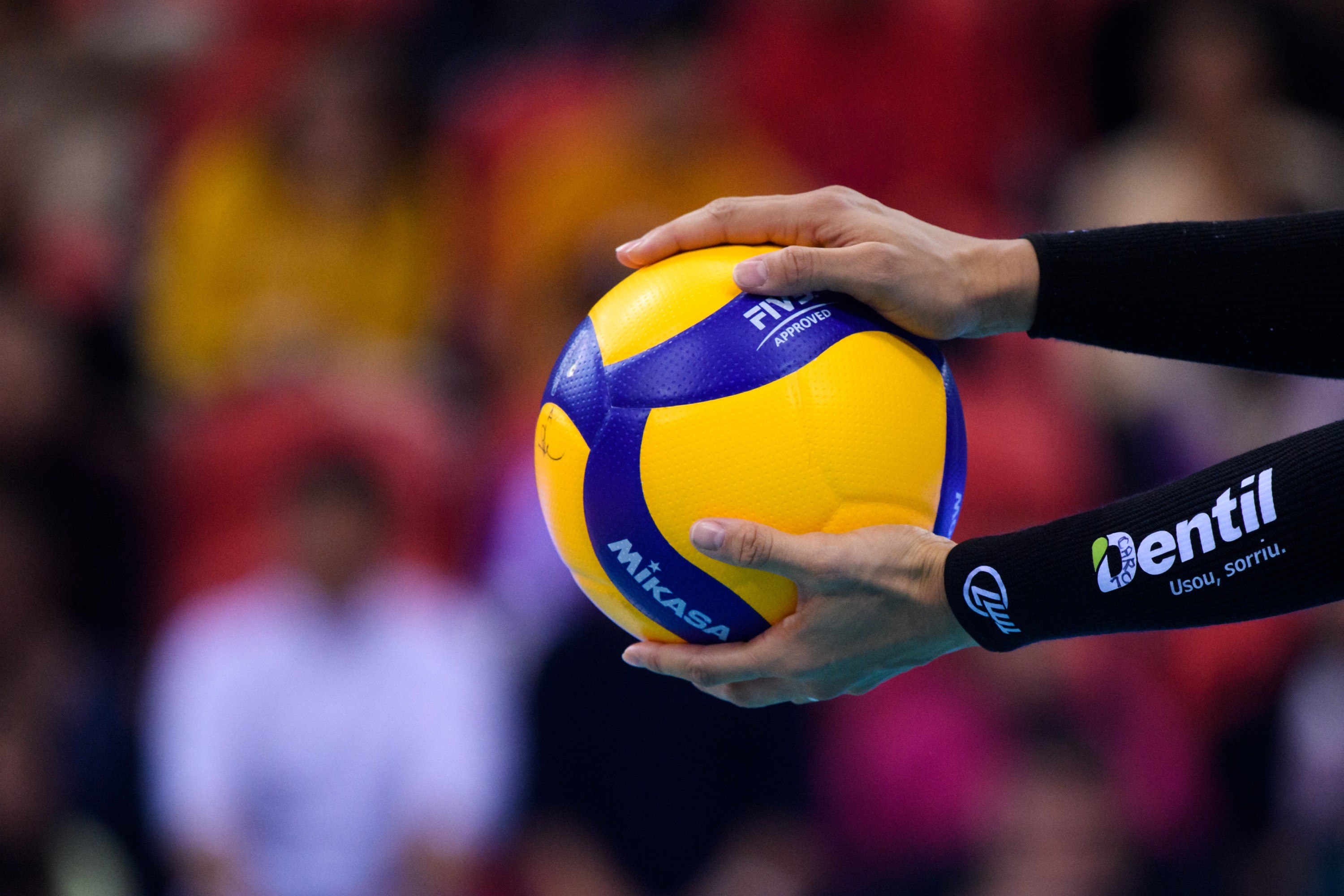 image preview(placeholder)