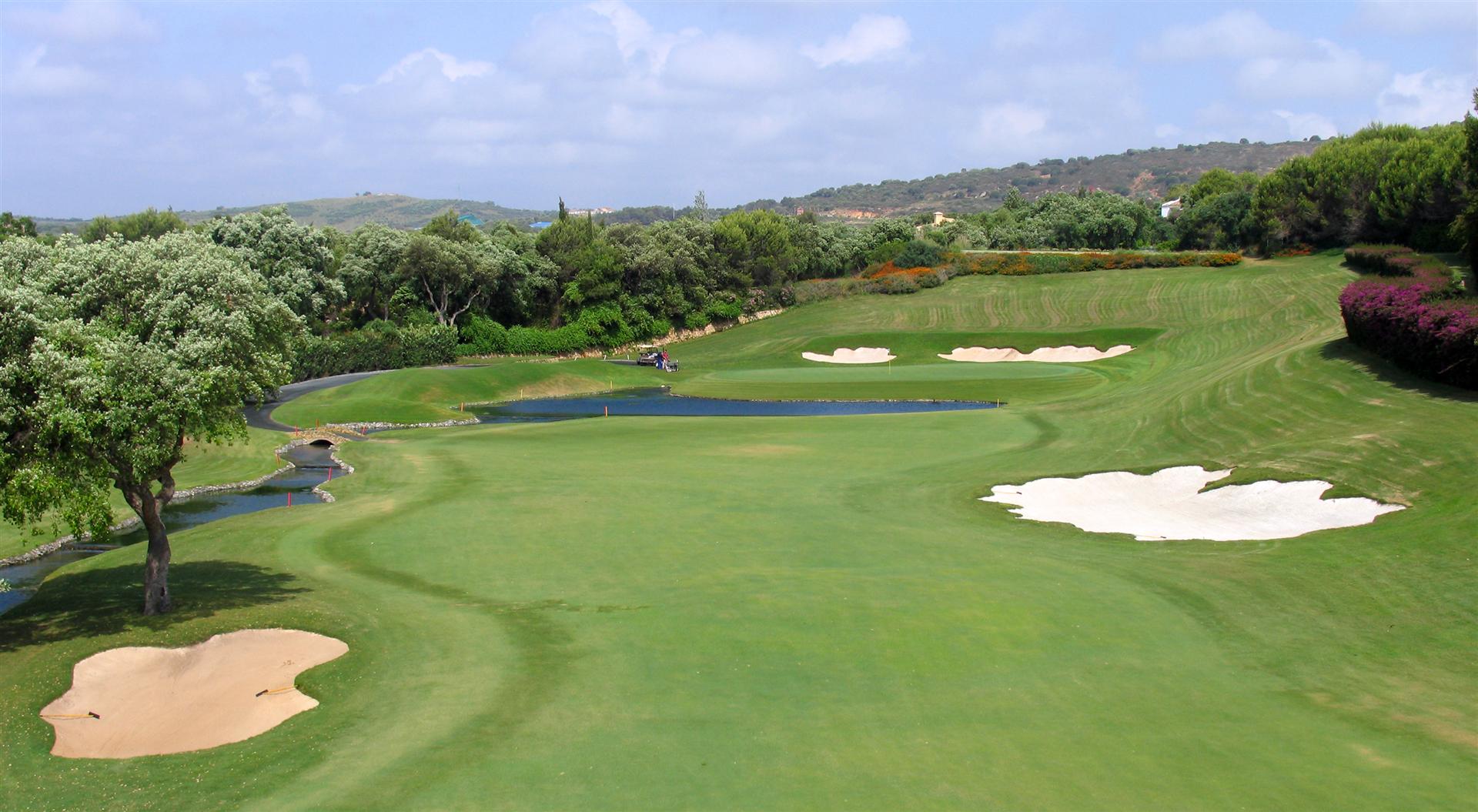 image preview(placeholder)