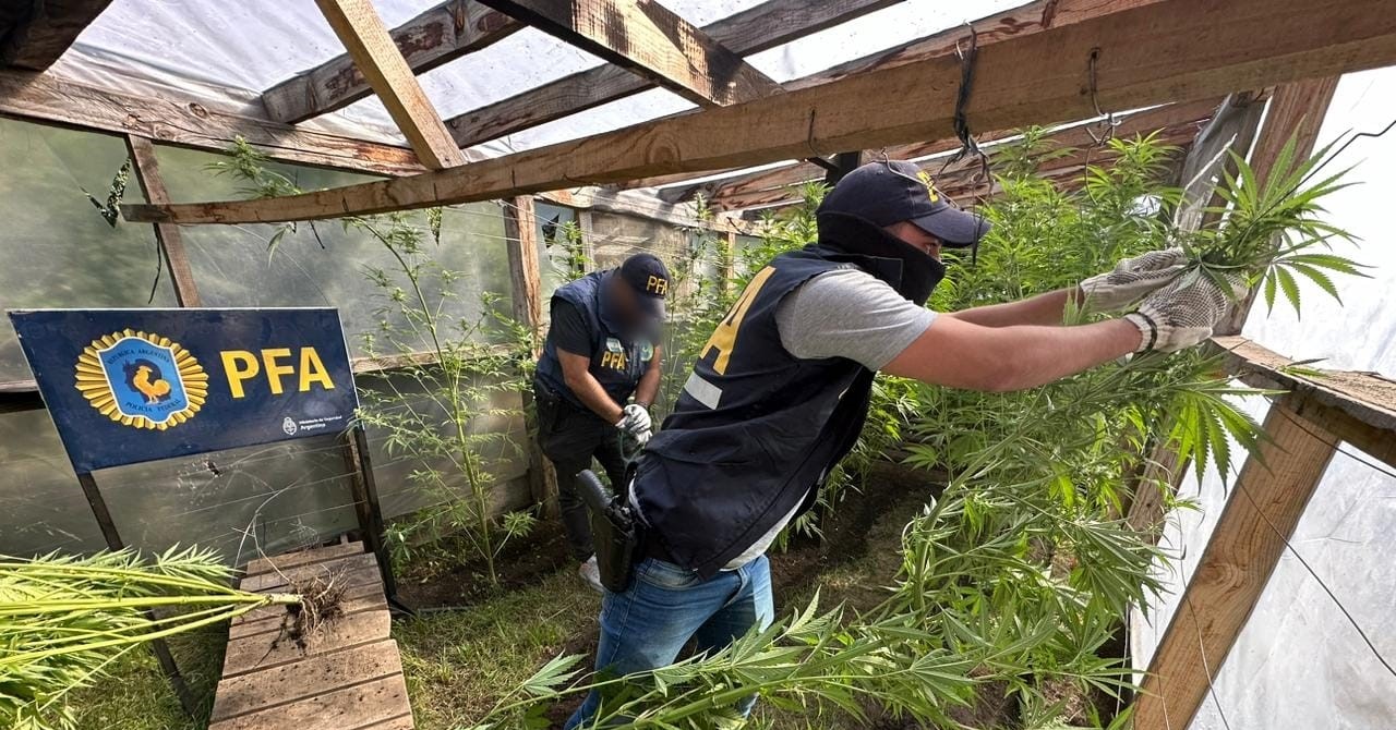 Cultivador de marihuana escondía $50 millones en una casa rodante en Neuquén