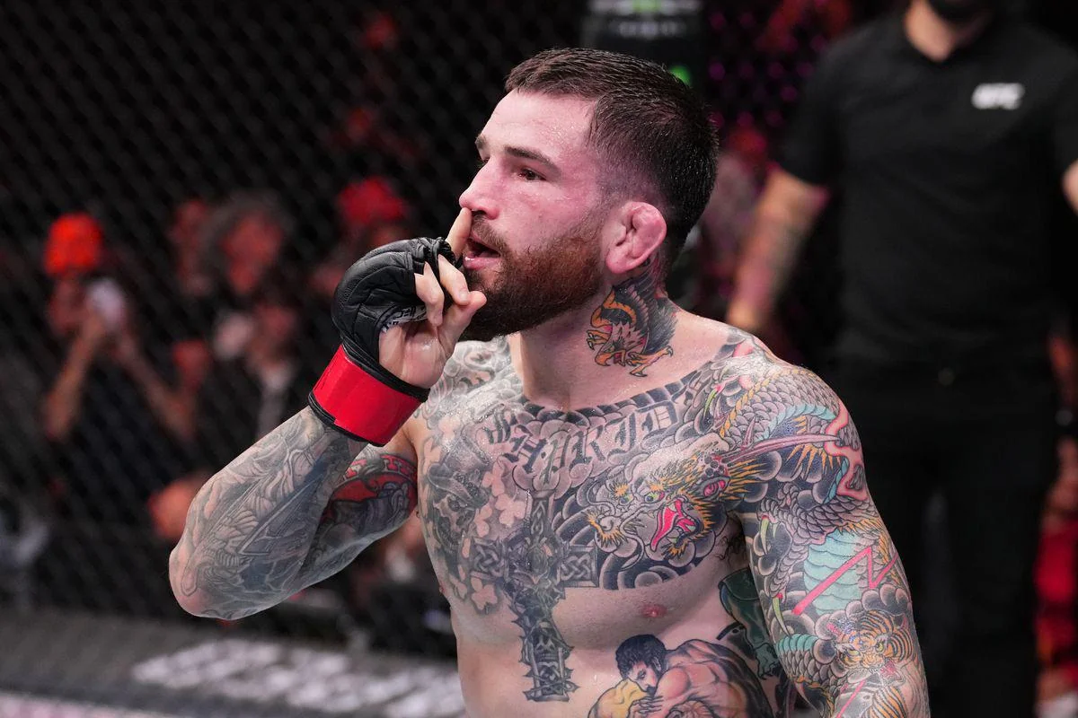 image preview(placeholder)